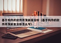 基于构件的软件开发前景分析（基于构件的软件开发前景分析怎么写）