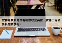 软件开发公务员有哪些职业岗位（软件工程公务员招的多吗）