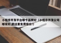 小程序开发平台哪个品牌好（小程序开发公司哪家好,戳这里免费报价!）