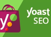 SEO by Yoast 教程，从入门到精通的全面指南的价值