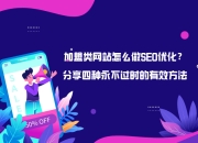 SEO加盟，开启数字营销的新篇章的探讨