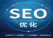 新安优化SEO，提升网站排名的关键策略的特点