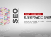 SEO制作与招商策略的深度融合的使用