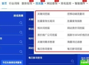 白坭SEO查询全解析的责任