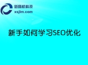 SEO新手必学推广的特点