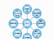 SEO推广策略案例分析