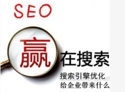 娄底搜狗SEO优化价位解析