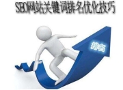 SEO排名优化是关键所在