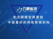 杭州稳定SEO推广优化的重要性及策略