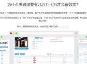 全网霸屏平台SEO，引领网络流量新时代的利器