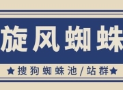 搜狗蜘蛛池SEO推广，提升网站流量与排名的利器