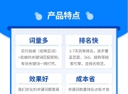 SEO查询系统推广，快速实现网站曝光与流量增长