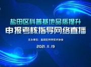 盐田区SEO服务，提升网站曝光率与品牌价值的利器