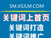 盐田区SEO厂商，专业助力企业网络推广