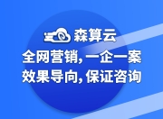 惠州网络SEO优化公司，引领企业走向数字化营销的先锋