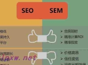 SEO竞价与优化排名的深度解析