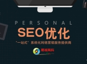 平潭专业SEO服务哪家好？