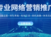 博山SEO优化公司，引领企业网络推广新篇章