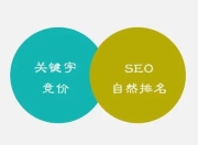 SEO竞价与优化营销，双轮驱动，助力企业网络营销