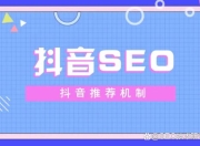 济南运营抖音SEO，策略与实践