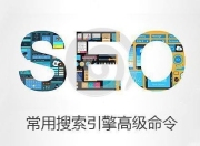 SEO高级搜索命令，提升网站流量与排名的秘密武器