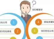 SEO新手如何进行网站优化