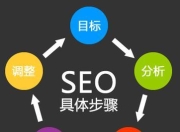 深入探讨SEO案例的看法与价值