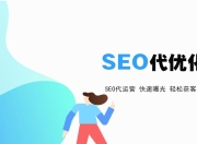 性价比高的SEO代运营，企业成功的关键