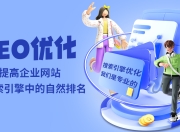 丰顺SEO网页优化外包服务的重要性与优势