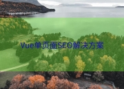 Vue单页面SEO解决方案