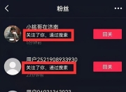 SEO优化与网页浏览量统计的深度解析