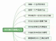 SEO新手入门思维与内容收录的探索