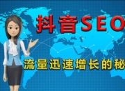 抖音SEO，是否可行与常见操作解析