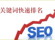 长乐区专业SEO服务哪家好？