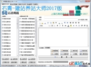 广州SEO建站优化工具的探索与应用