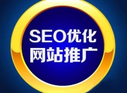 专业SEO，网站成功的关键因素