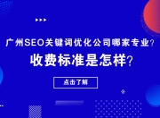 广州SEO关键词公司，引领行业，助力企业网络推广