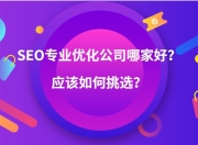 肥东SEO优化服务选择指南