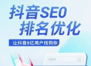 上海SEO抖音搜索排名的重要性与策略