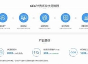 免费与付费的SEO建议，如何优化您的网站以提升流量