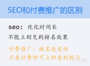 SEO与竞价，网络营销策略的两大核心差异