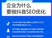 抖音SEO销售，理解与运用