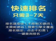 SEO投放费用，如何合理投入并获得最佳效果