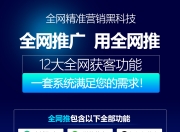 秒收录霸屏SEO营销，现代网络营销的利器