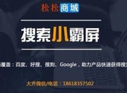 霸屏推广公司SEO顾问，引领企业走向网络营销新高度