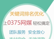 SEO关键词推广外包，企业成功的关键策略