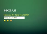 SEO入门教学视频教程