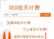 泉州SEO快排扣费，解析与策略