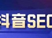 郑州电商抖音SEO系统，引领电商营销新潮流