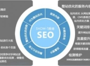 直播搜索引擎的SEO，策略与实践